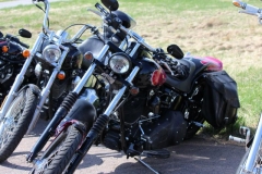 969871475676722511969276499587n