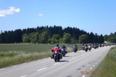 10464138-543943665711954-6819249010051397643-n